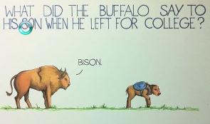 Dave at daily flicksandpicks